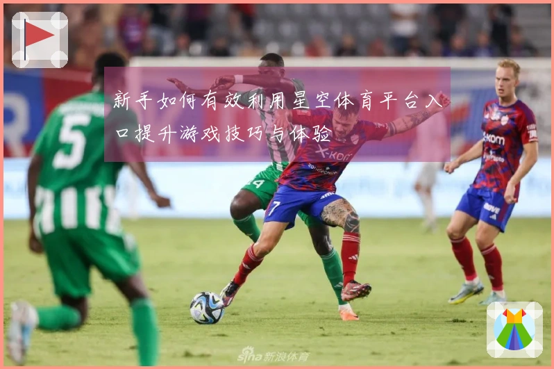 新手如何有效利用星空体育平台入口提升游戏技巧与体验