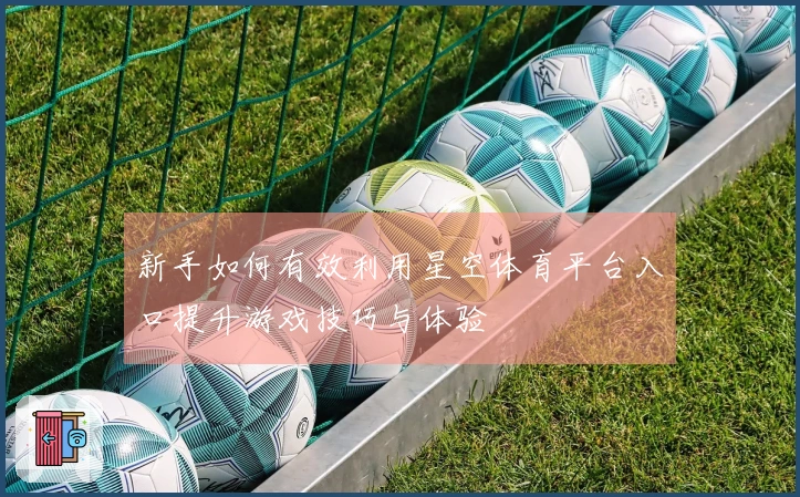 新手如何有效利用星空体育平台入口提升游戏技巧与体验
